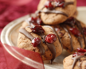 Schoko Cranberry-Cookies