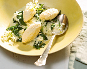 Topfennockerl mit eingemachtem Bärlauch-Kohlrabi