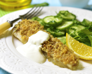 Seelachs mit Kräuterbrösel auf frischem Gurkensalat