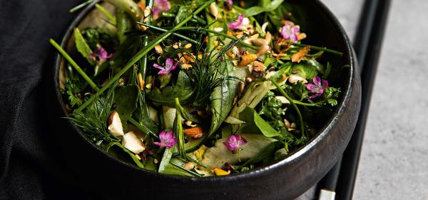 Knackiger Kräutersalat mit Fenchel und Gurke