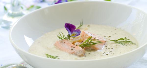 Fenchelcremesuppe