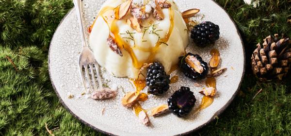 Fichtennadelpudding mit gebrannten Nüssen und Honig