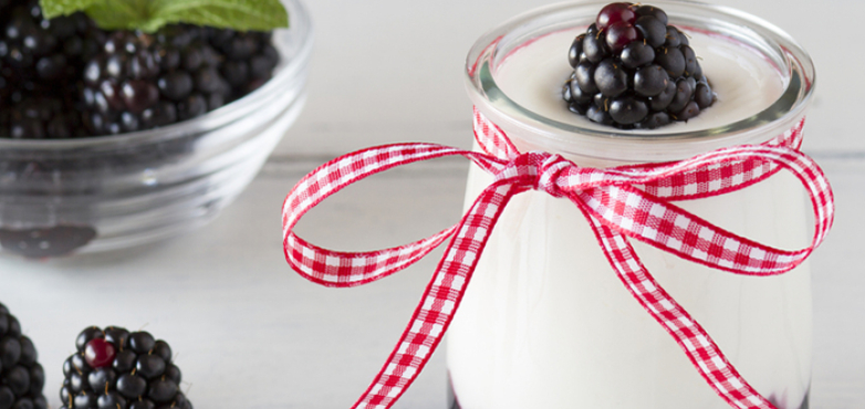 Holler Creme mit Brombeeren