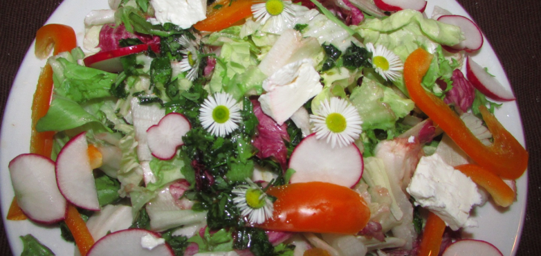 Salat "bunte Sommerwiesn" mit Gänseblümchen, Feta und Wildkräuteressig