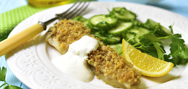 Seelachs mit Kräuterbrösel auf frischem Gurkensalat